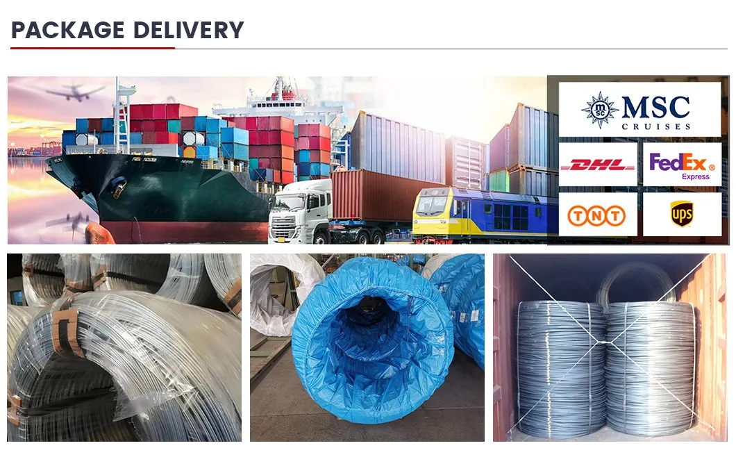 Hot Rolled SAE1006 1008 1010 Q195 Q235 1045 Alloy Mild Ms 5.5mm 6.5mm Iron Steel Wire Rod