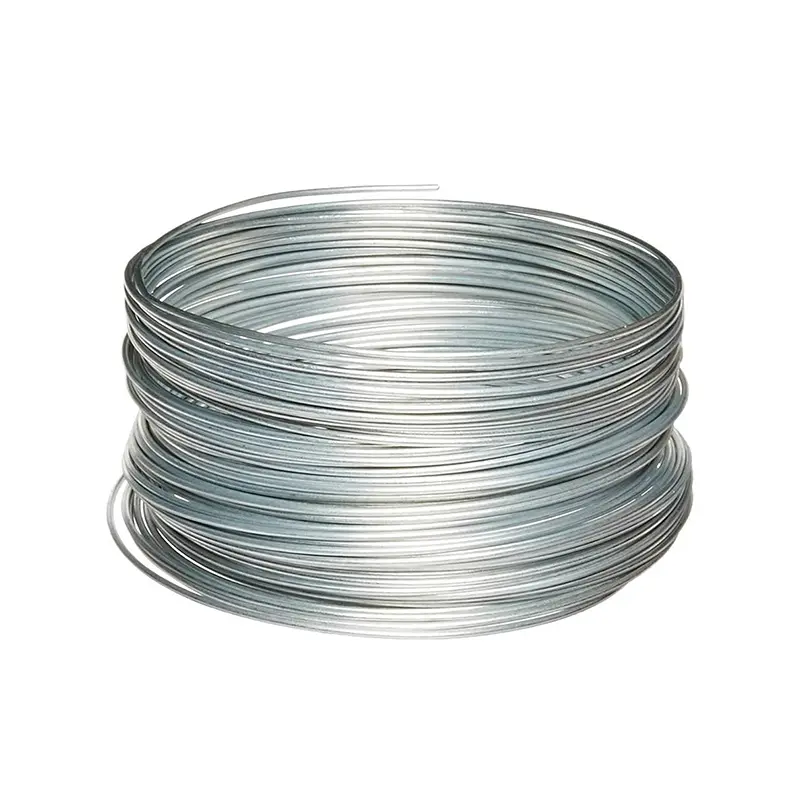 Hot Dipped Bwg20 Galvanized Steel Wire