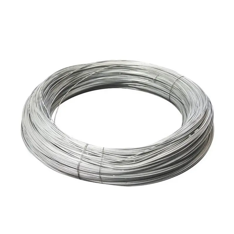 Hot Dipped Bwg20 Galvanized Steel Wire